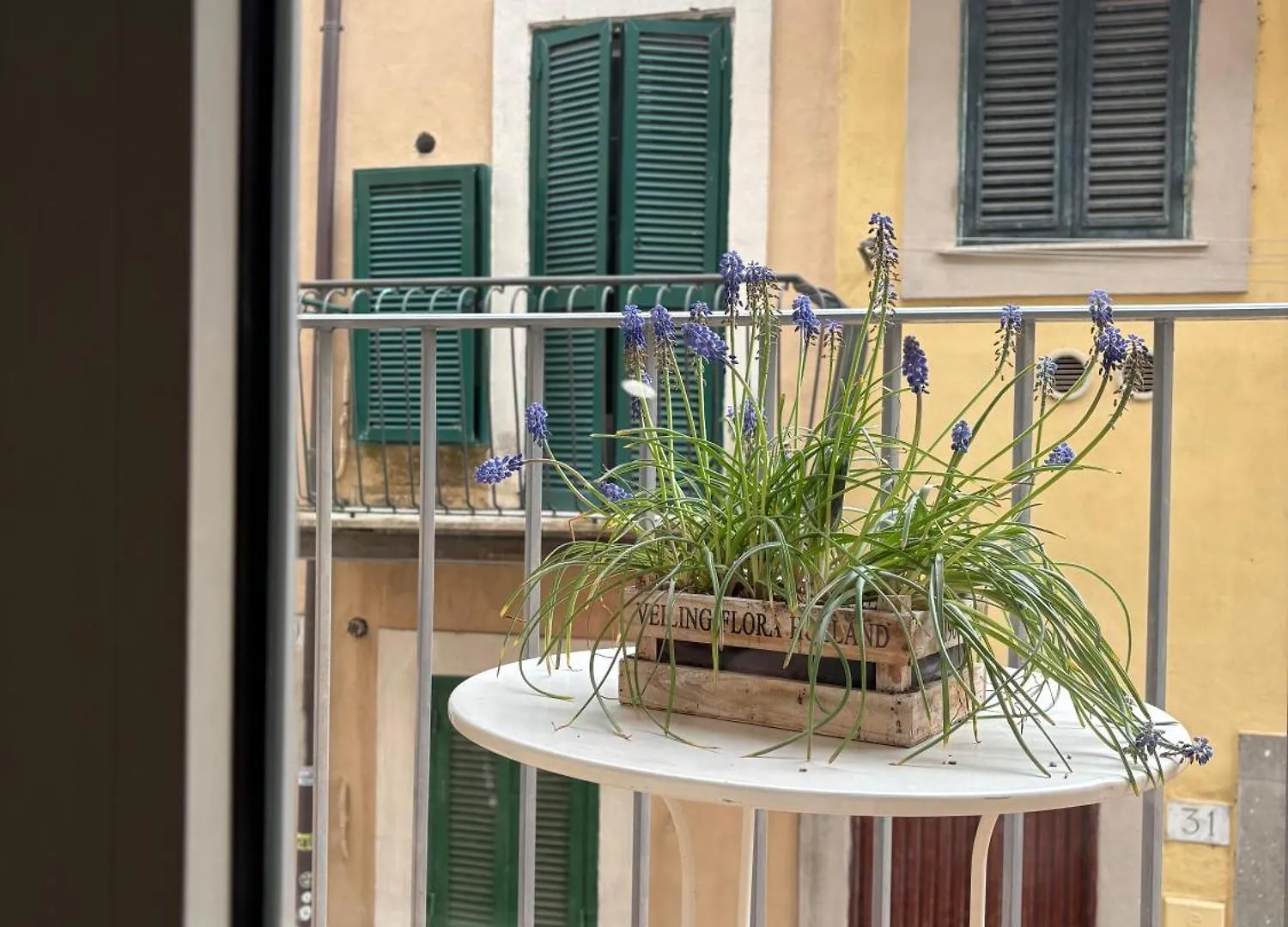 Tata Apartment Castel Gandolfo